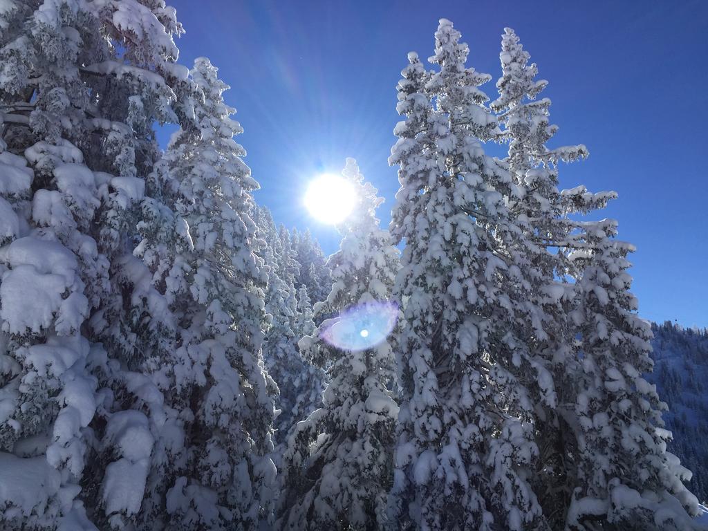 Das Alpbach Juwel Екстер'єр фото
