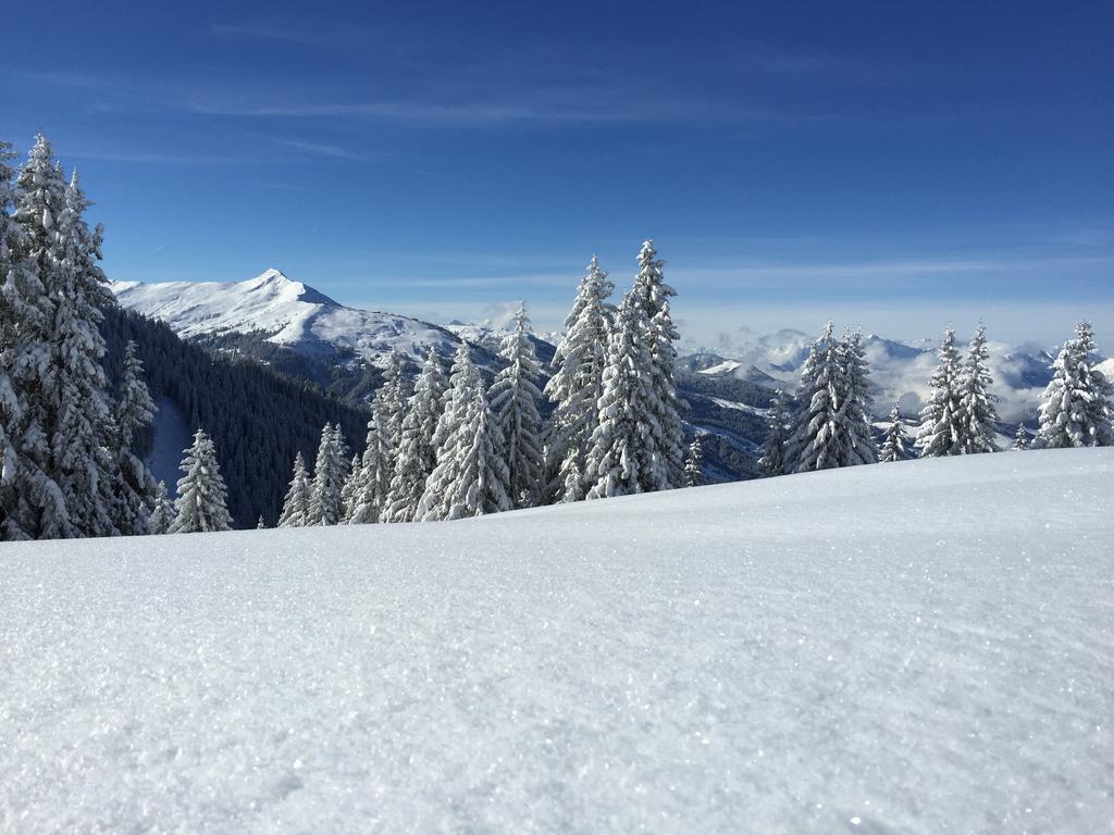 Das Alpbach Juwel Екстер'єр фото