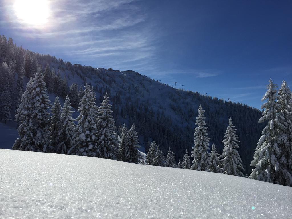 Das Alpbach Juwel Екстер'єр фото