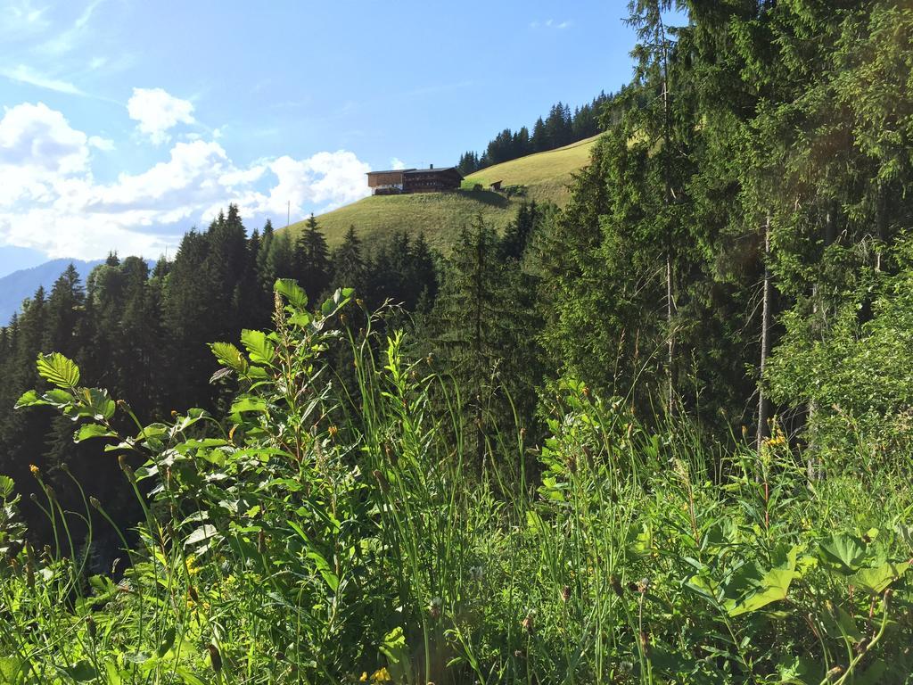Das Alpbach Juwel Екстер'єр фото